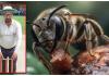 Bee Attack: క్రికెటర్లపై తేనెటీగల దాడి